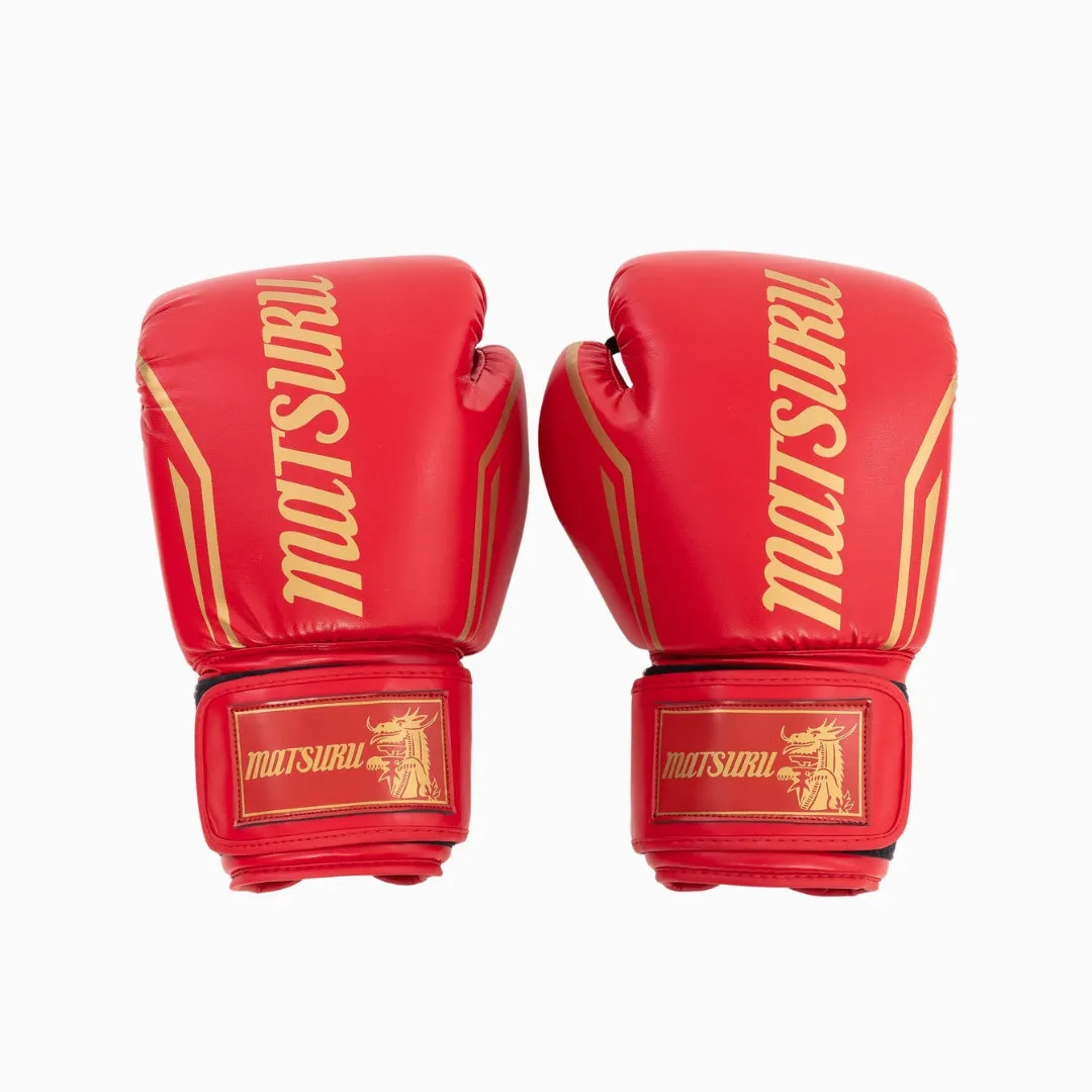 Pro Boxing Gloves