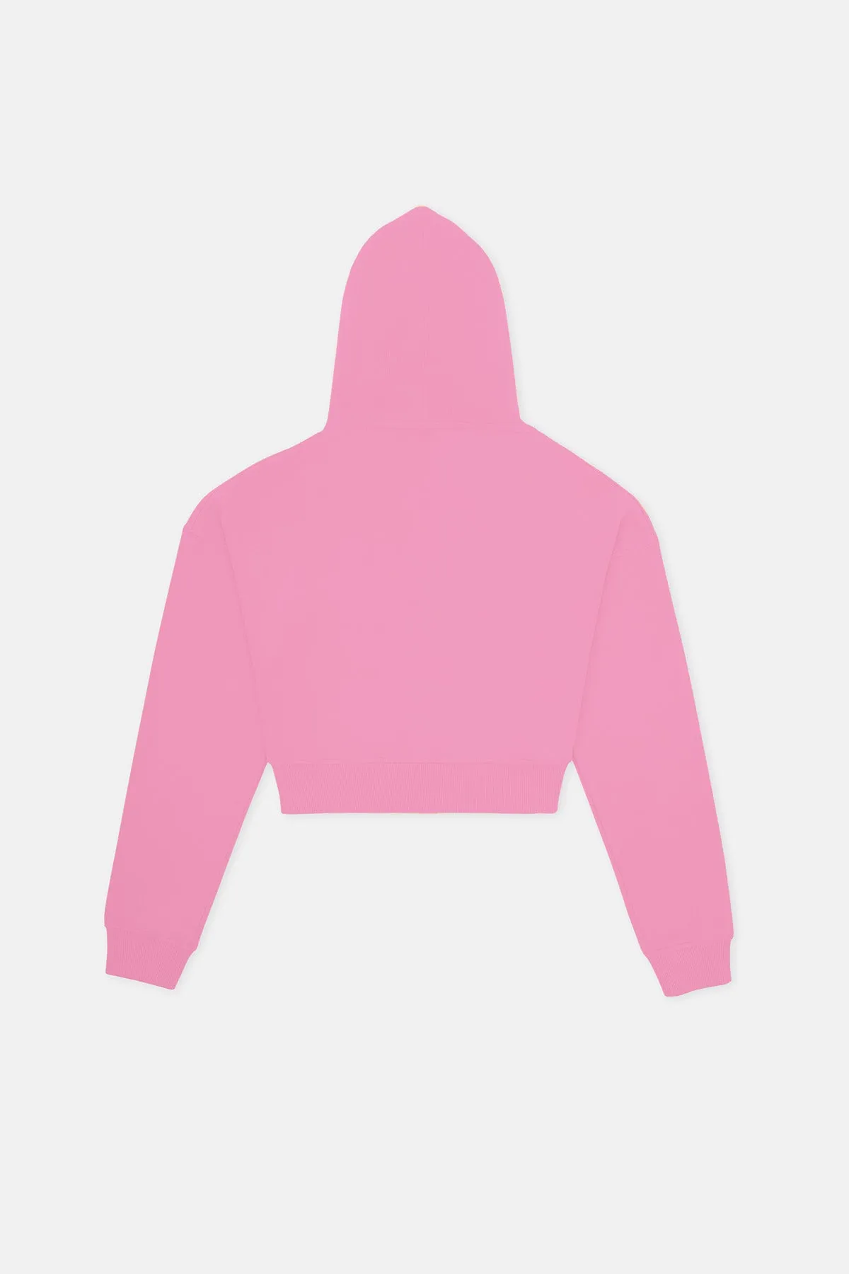 Sincap Super Soft Crop Hoodie  - Pembe