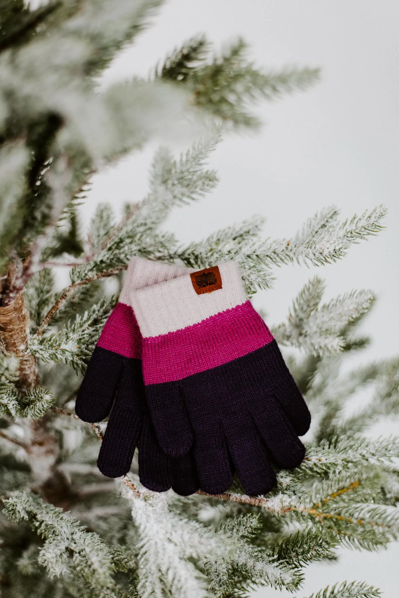 Wonderland Color Block Kids Gloves